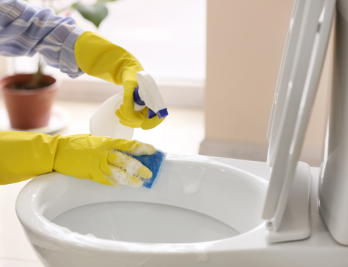 The Ultimate Guide to Eco-Friendly Toilet Bowl Cleaning
