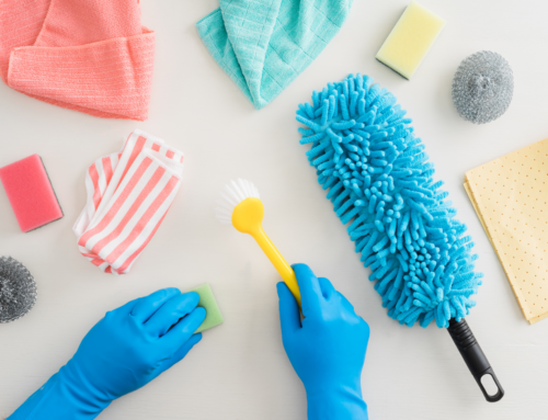 Flu Season and Clean Homes: Green Germ Control in Tempe, AZ