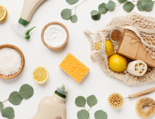 Common Toxic Items You Have in Your Home (and What to Use Instead)