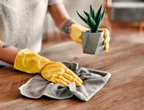 Dust-Free Living in Tempe: Eco-Friendly Cleaning Solutions for Desert Homes